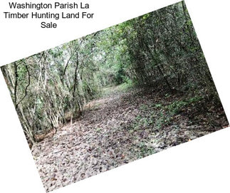 Washington Parish La Timber Hunting Land For Sale