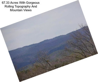 67.33 Acres With Gorgeous Rolling Topography And Mountain Views