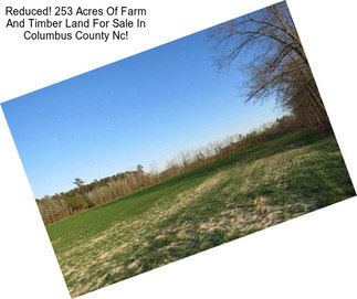 Reduced! 253 Acres Of Farm And Timber Land For Sale In Columbus County Nc!