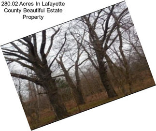 280.02 Acres In Lafayette County Beautiful Estate Property