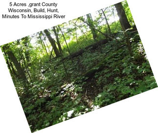 5 Acres ,grant County Wisconsin, Build, Hunt, Minutes To Mississippi River