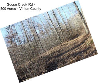 Goose Creek Rd - 500 Acres - Vinton County