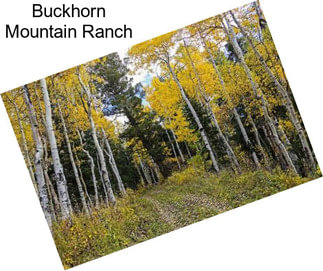 Buckhorn Mountain Ranch