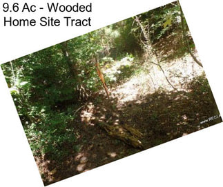 9.6 Ac - Wooded Home Site Tract