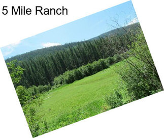 5 Mile Ranch