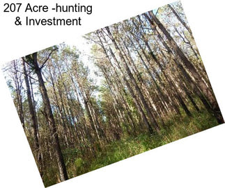 207 Acre -hunting & Investment