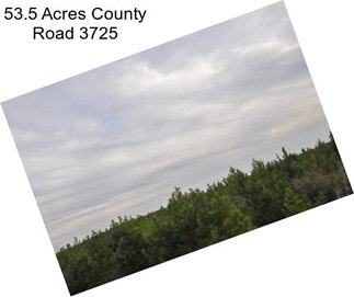 53.5 Acres County Road 3725