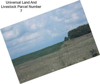 Universal Land And Livestock Parcel Number 7