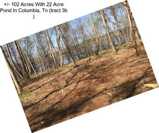 +/- 102 Acres With 22 Acre Pond In Columbia, Tn (tract 3b )