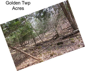 Golden Twp Acres