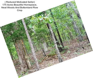 ( Reduced Motivated Seller) 175 Acres Beautiful Homeplace, Neat Woods And Bottomland Row Crop