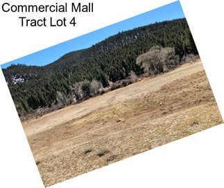 Commercial Mall Tract Lot 4