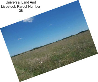 Universal Land And Livestock Parcel Number 38