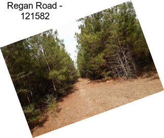 Regan Road - 121582