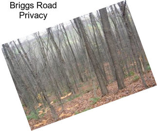 Briggs Road Privacy