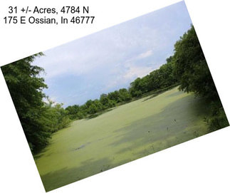 31 +/- Acres, 4784 N 175 E Ossian, In 46777