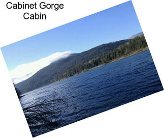 Cabinet Gorge Cabin