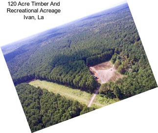 120 Acre Timber And Recreational Acreage Ivan, La