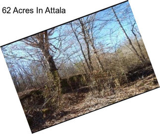 62 Acres In Attala