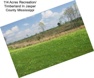 114 Acres Recreation/ Timberland In Jasper County Mississippi