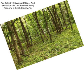 For Sale: 71.78 Acres Of Quiet And Seclusion On This Prime Hunting Property In Smith County, Tn