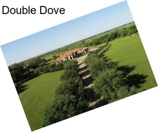 Double Dove