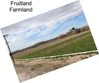 Fruitland Farmland