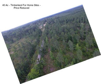 40 Ac - Timberland For Home Sites - Price Reduced