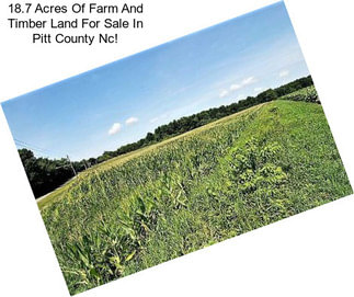 18.7 Acres Of Farm And Timber Land For Sale In Pitt County Nc!