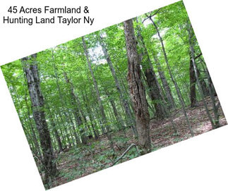 45 Acres Farmland & Hunting Land Taylor Ny