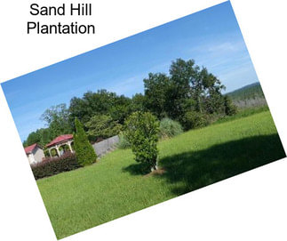 Sand Hill Plantation