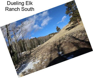 Dueling Elk Ranch South