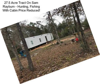 27.5 Acre Tract On Sam Rayburn - Hunting, Fishing With Cabin Price Reduced!
