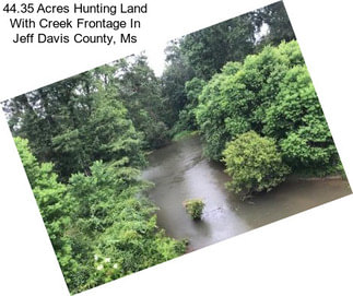 44.35 Acres Hunting Land With Creek Frontage In Jeff Davis County, Ms