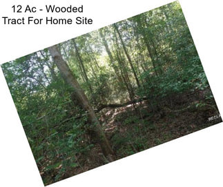 12 Ac - Wooded Tract For Home Site