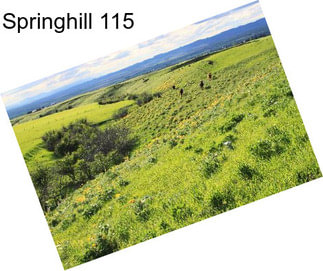 Springhill 115