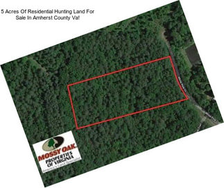 5 Acres Of Residential Hunting Land For Sale In Amherst County Va!