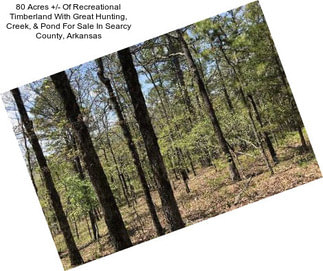80 Acres +/- Of Recreational Timberland With Great Hunting, Creek, & Pond For Sale In Searcy County, Arkansas