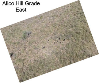 Alico Hill Grade East