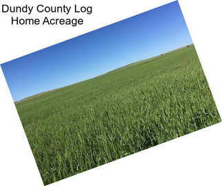 Dundy County Log Home Acreage