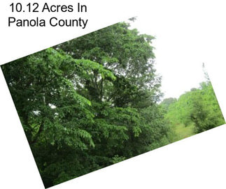 10.12 Acres In Panola County