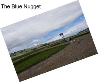 The Blue Nugget