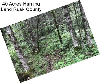 40 Acres Hunting Land Rusk County