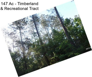 147 Ac - Timberland & Recreational Tract