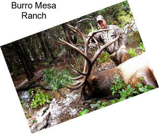 Burro Mesa Ranch