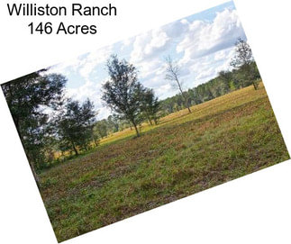 Williston Ranch 146 Acres