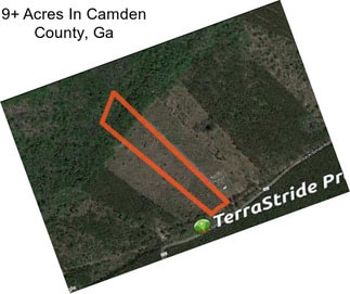 9+ Acres In Camden County, Ga