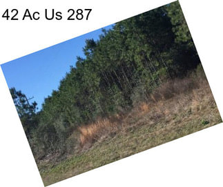 42 Ac Us 287