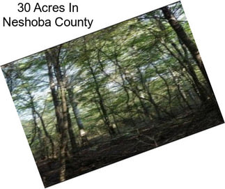 30 Acres In Neshoba County
