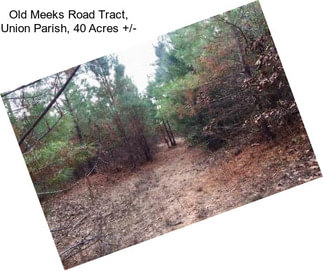 Old Meeks Road Tract, Union Parish, 40 Acres +/-